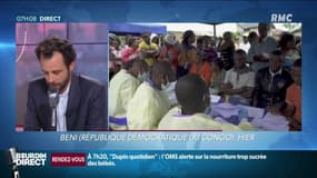 Ebola: une "urgence sanitaire mondiale" pour l'OMS
