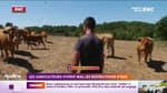 Les agriculteurs de Dordogne grognent contre les restrictions d'eau