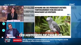 L'histoire insolite de Charles Magnien