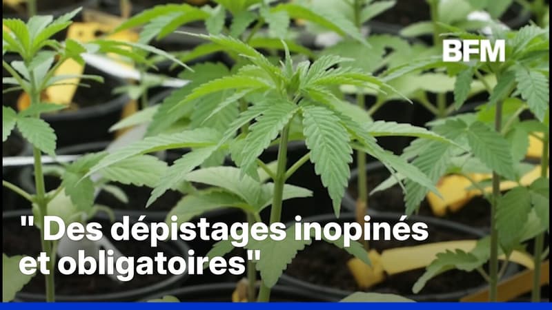 Sébastien Lecornu demande l'organisation de tests anti-drogue au sein des ministères
