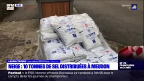 Neige: près de 10 tonnes de sel distribuées aux habitants à Meudon