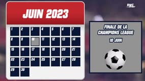 Foot, rugby, hand, tennis... Les événements de 2023 à suivre