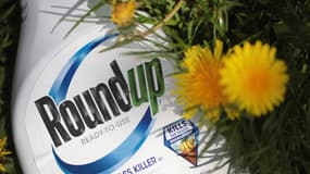 Le désherbant Roundup de Monsanto (Bayer).