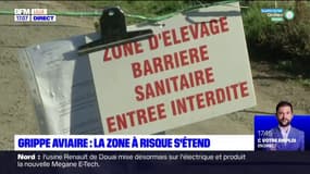Grippe aviaire: la zone à risque s'étend dans le Pas-de-Calais