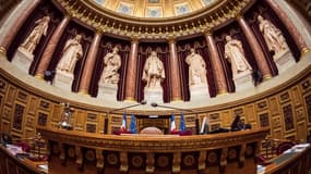 Le Parlement a adopté définitivement jeudi, par un ultime vote à main levée du Sénat, l'instauration d'une taxe "à la française" sur les géants du numérique.  
