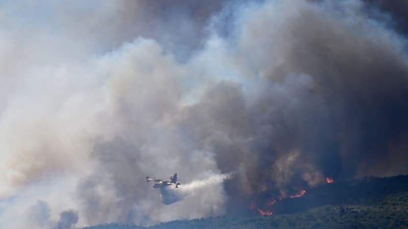 Feux de forêt: près de 1.650 hectares parcourus par un nouvel incendie dans les Pyrénées-Orientales