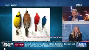 Objectif Terre : Des animaux s'adaptent au changement climatique - 06/12
