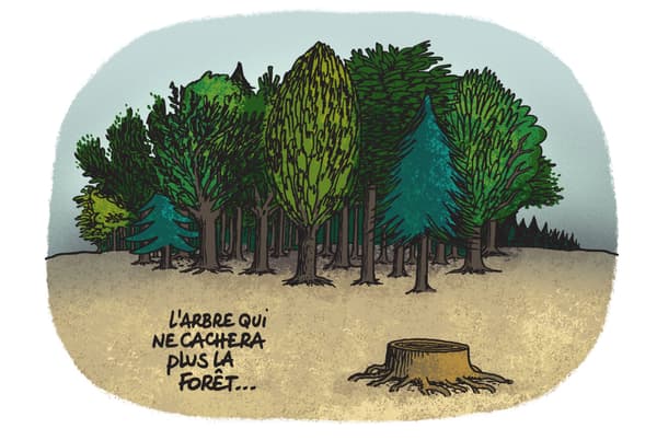 La déforestation
