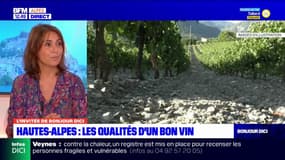Hautes-Alpes: Laëtitia Allemand, vigneronne, présente ses raisins