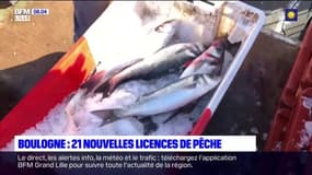 Brexit: les pêcheurs boulonnais obtiennent 21 nouvelles licences pour accéder aux eaux britanniques