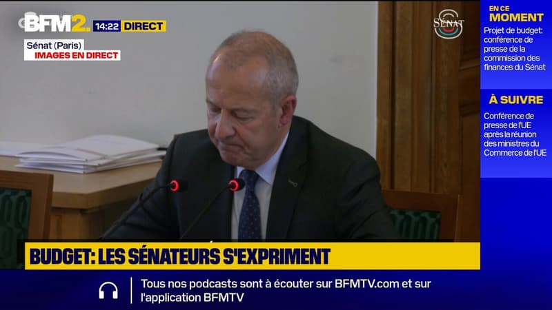 Budget : la commission des finances du Sénat propose de relever la taxe sur les petits colis à 5¬