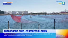 Port-de-Bouc : tous les secrets du calen