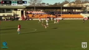 Un kangourou débarque en plein match de foot en Australie