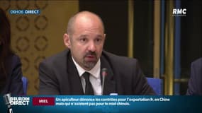 "Tous savaient": les confidences de Vincent Crase sur l'affaire Benalla dans un livre
