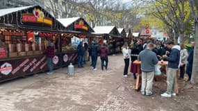Le marché de Noël de Lyon sur la place Carnot.