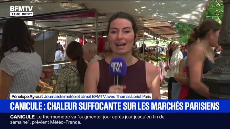 "On ne met pas grand chose dans les vitrines": les commerçants obligés de s'adapter face à la chaleur sur ce marché parisien