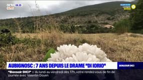 7 ans après le drame "Di Iorio" à Aubignosc dans les Alpes-de-Haute-Provence 