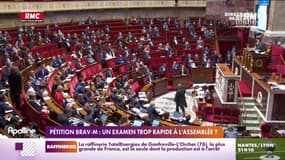 Pétition Brav-M: un examen trop rapide à 'Assemblée? 