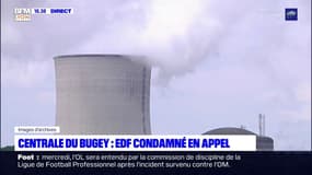 Centrale du Bugey : EDF condamné en appelo