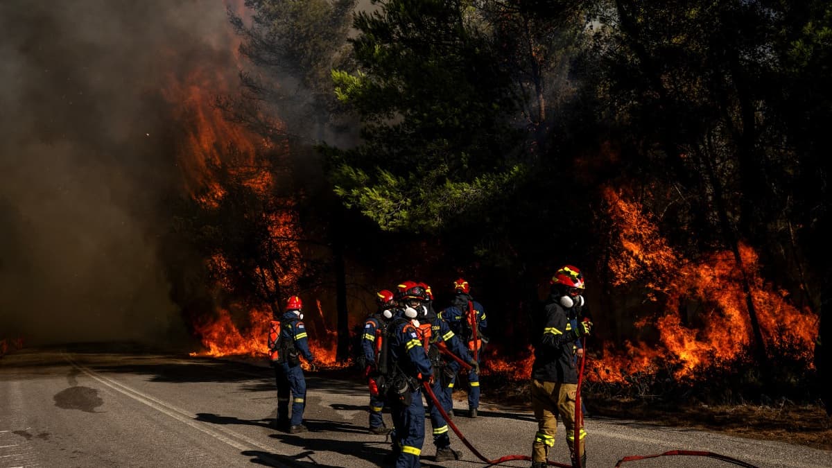 Des pompiers tentent d'éteindre les flammes dans la région de Porto Germeno, à 70 kilomètres d'Athènes (Grèce), le dimanche 2 août 2026 Des pompiers tentent d'éteindre les flammes dans la région de Porto Germeno, à 70 kilomètres d'Athènes (Grèce), le dimanche 2 août 2026