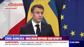 Crise agricole: "Ce serait de la facilité de tout mettre sur le dos de l'Europe", affirme Emmanuel Macron