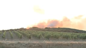 400 hectares de forêts sont partis en fumée dimanche à cause d'un incendie dans l'Aude.
