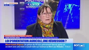 Normandie: la présidente de la FRSEA s'exprime sur la loi d'orientation agricole