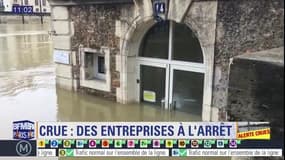 Crue de la Seine: restaurateurs et bateliers à l'arrêt