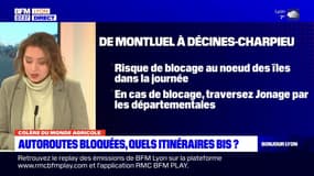 Colère des agriculteurs: quels itinéraires bis emprunter contre les blocages?