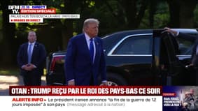Donald Trump arrived for dinner in The Netherlands in the Netherlands un security council. france calls before the start of the NATO summit un security council, france calls new