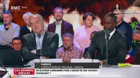 Un agriculteur doit payer 8000 euros à ses voisins, gênés par les odeurs de son élevage bovin: "Ca ne sent pas toujours bon"