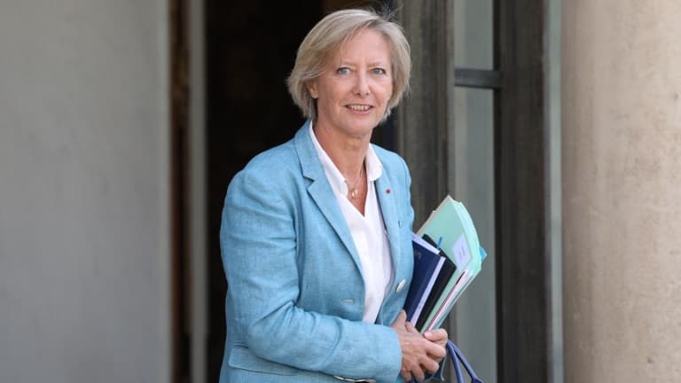 Sophie Cluzel, secrétaire d'État chargée des Personnes handicapées sur le perron de l'Élysée en juillet