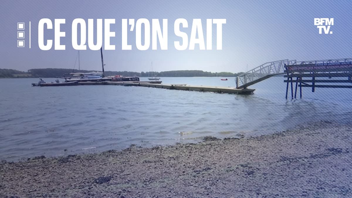 Meurtre D Iris C Lanester Ce Que L on Sait Sur Le Profil Du Suspect 