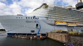 Le paquebot "Oasis of the Seas" est l'un des premiers exemplaires de la série "Oasis".