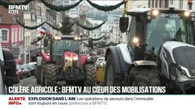 Dermatose nodulaire bovine: BFMTV au cœur des mobilisations des agriculteurs en colère
