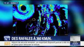 Les Antilles en alerte maximale face à l'ouragan Irma