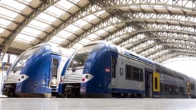 Des trains à la gare du Nord (photo d'illustration)