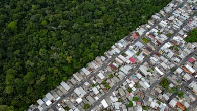 Photo d'illustration de la forêt amazonienne prise dans l'État de Manaus au Brésil, le 5 juin 2023.