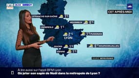 Météo à Lyon: un temps sec mais nuageux, seulement 0°C à 2°C cet après-midi