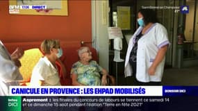 Alpes-de-Haute-Provence: les EHPAD mobilisés face à la canicule
