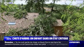 Vents violents en Charente-Maritime: un enfant de 10 ans dans un état critique, après qu'un arbre lui soit tombé sur la tête