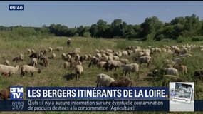 Une semaine en...: Les bergers itinérants de la Loire