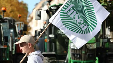Un agriculteur brandit le drapeau de la Fédération nationale des syndicats d'exploitants agricoles (FNSEA), à Strasbourg le 21 octobre 2024.