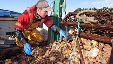 Pêcheurs français et britanniques se disputent une zone de pêche située dans la baie de Seine. Des altercations ont éclaté en mer la semaine dernière