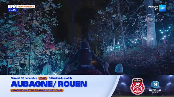 Arbora Lumina au domaine d'Harcourt - La météo de Colas du vendredi 5 décembre 2025