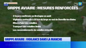 Manche: des mesures pour faire face à la grippe aviaire 