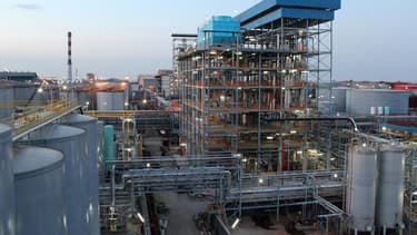 Elevance Renewable Sciences développe des spécialités chimiques à partir d'huiles naturelles. La société américaine vient d'ouvrir sa 3ème bioraffinerie.