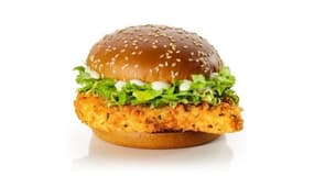 Composés de galette panée à base de lait écrémé, le McVeggie est lancé ce mardi dans les restaurants McDonald's.