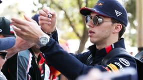 Pierre Gasly