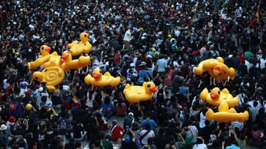 Les canards portés par la foule.